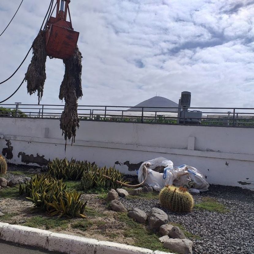 El Cabildo insta a desechar las toallitas correctamente y no verter en el v&aacute;ter