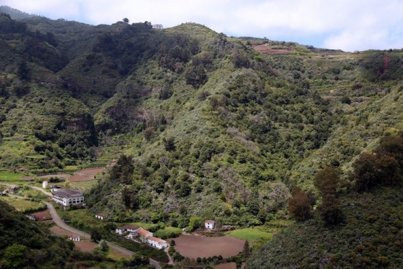 Valleseco te organiza una ruta por el camino del Pino