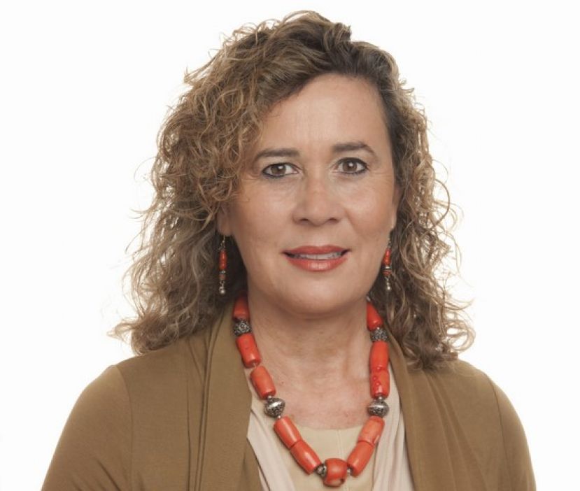 Julios alerta sobre el freno en la investigación tras las restricciones