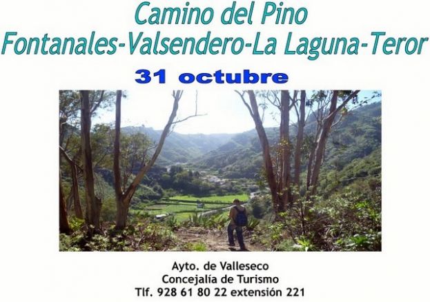 Valleseco: Senderismo recorriendo el sendero por el &lsquo;Camino del Pino&rsquo;