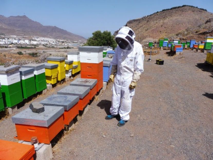 El Cabildo destina 8.000 euros a ayudas para las cinco asociaciones de apicultores