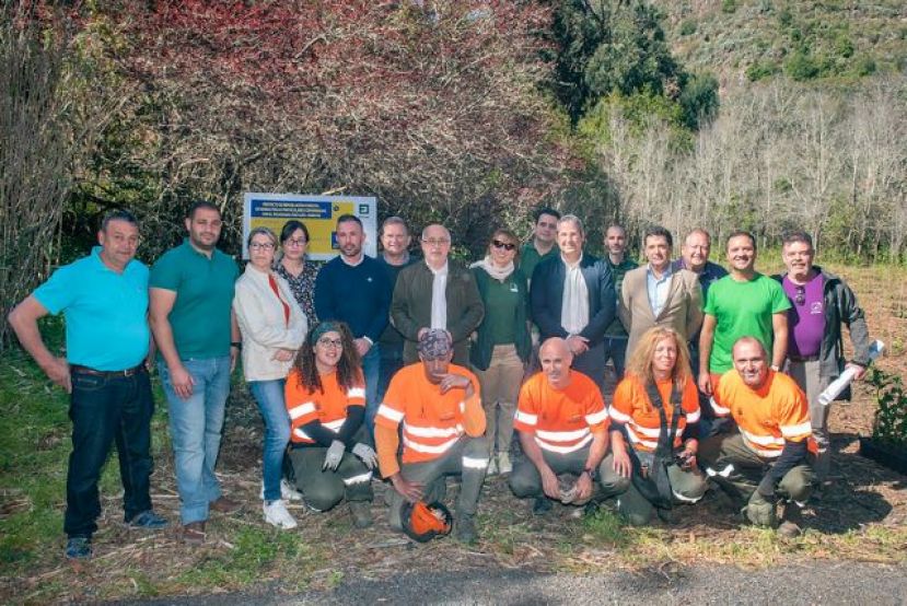 Reforestan 30 ha con m&aacute;s 26.000 plantas de laurisilva para recuperar el Bosque
