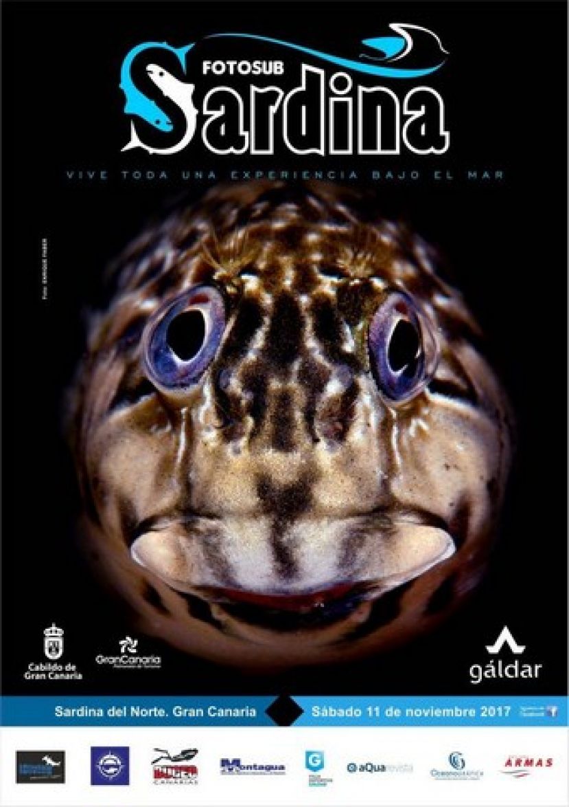 El mal estado del mar obliga a aplazar la celebraci&oacute;n del Fotosub Sardina de G&aacute;ldar