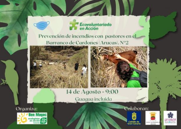 Ecovoluntariado en Acci&oacute;n vuelve al barranco de Cardones