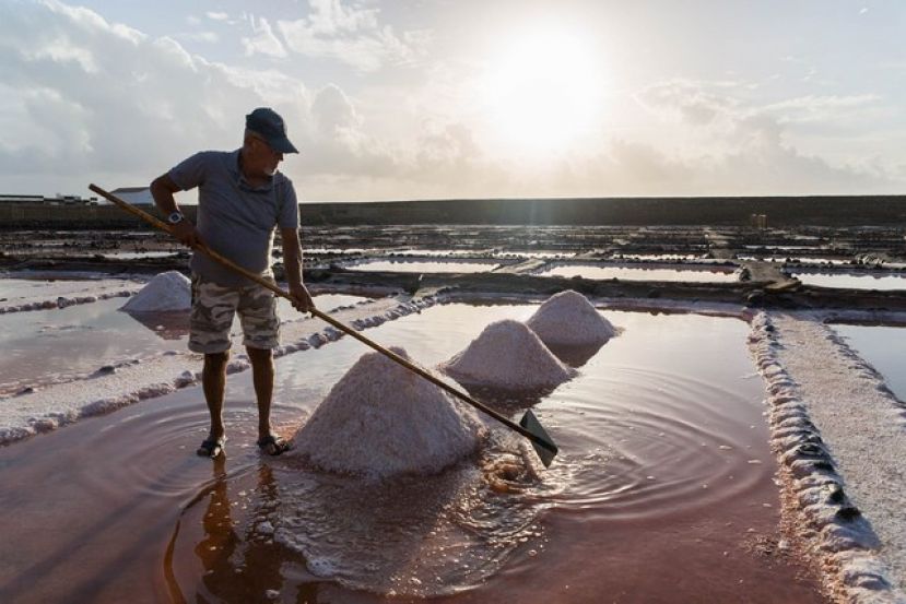 EL CABILDO CELEBRA LA PRIMERA DE LAS CUATRO VISITAS GUIADAS PREVISTAS A VARIOS ESPACIOS DE LA COSTA DE ARINAGA