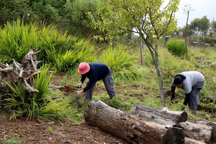 Valleseco acondiciona la zona recreativa de La Laguna