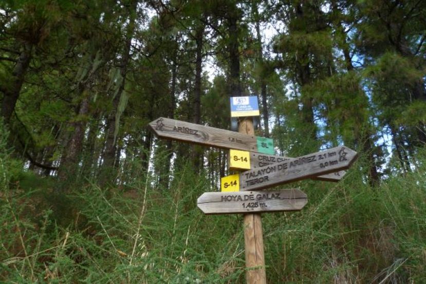 Valleseco te invita a descubrir el municipio por la ruta “Mesas de Galaz- Las Rosadas”