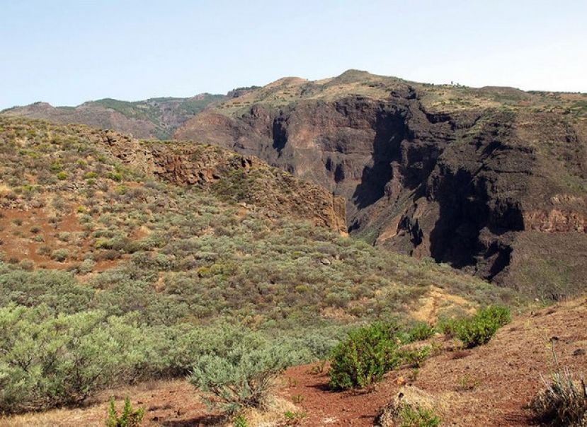 Valleseco te propone una ruta por el barranco de Guayadeque