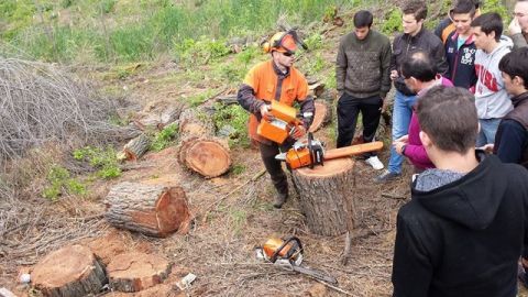Valleseco: Curso de manejo de motosierra y desbrozadora