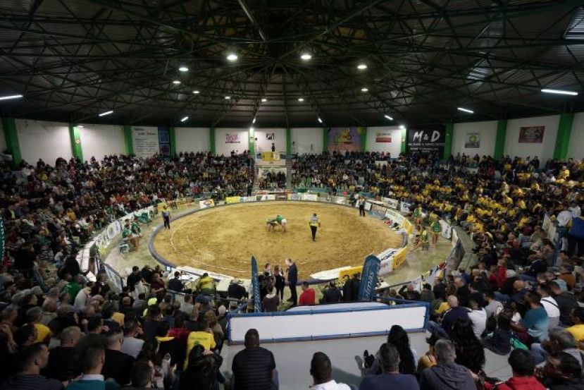 La Federaci&oacute;n de Lucha Canaria de GC insta  a nombrar &ldquo;Responsables COVID-19&rdquo;