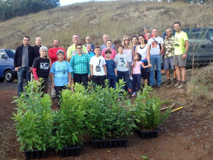 Firgas: Este s&aacute;bado se llevar&aacute; a cabo una Plantaci&oacute;n de Laurisilva en la Monta&ntilde;a