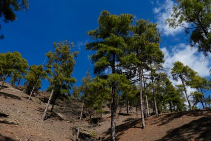 Valleseco se va de ruta por la zona del Aserrador