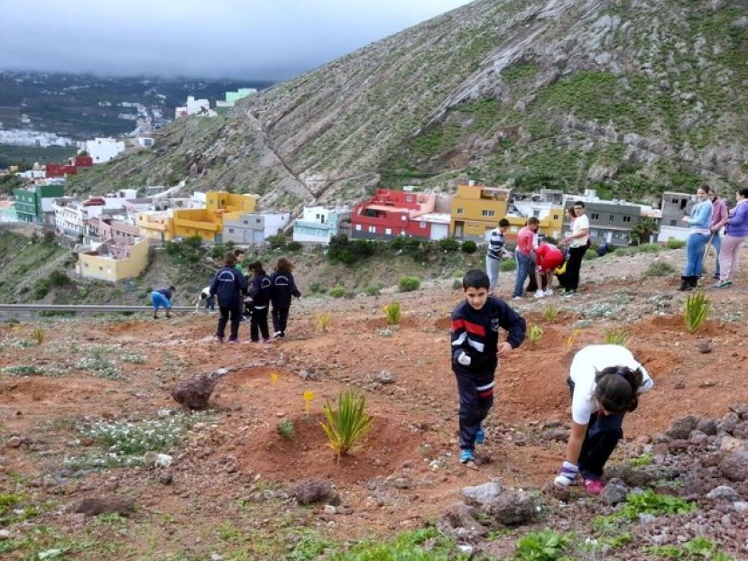 Guia: Los escolares han participado un año más en la repoblación forestal
