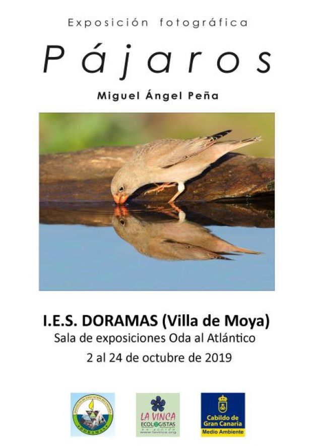 El IES Doramas de la Villa de Moya acoge la muestra fotogr&aacute;fica &ldquo;P&Aacute;JAROS&rdquo;