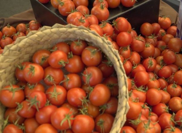 El Gobierno canario concede ayudas por 1,7 millones para el comercio exterior de tomate