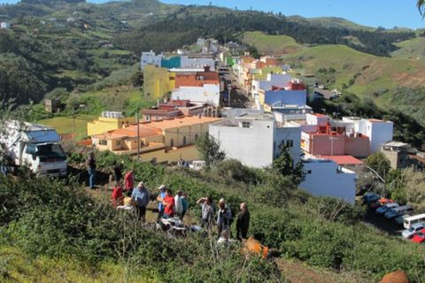 Guía: Este jueves sera la tradicional Feria de Ganado en Montaña Alta