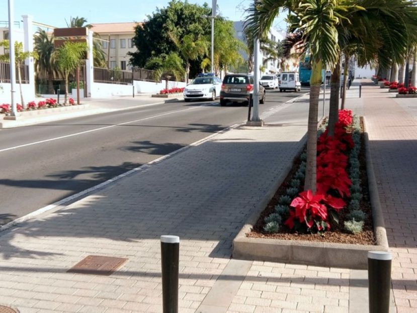Gu&iacute;a: Plantaci&oacute;n de 500 flores de pascua en distintas zonas del municipio