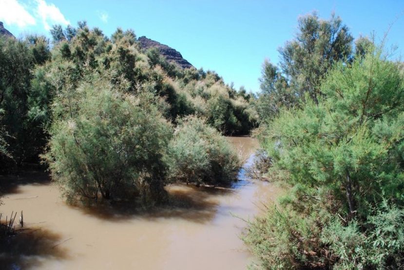 Valleseco se va de senderismo por la zona de Bocabarranco de La Aldea