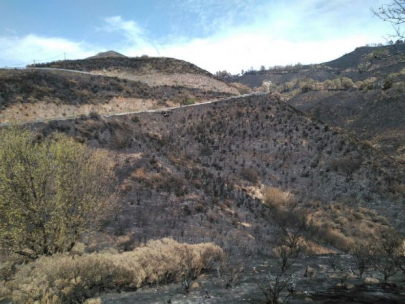 La investigaci&oacute;n de la causa del incendio de GC apunta a un origen humano
