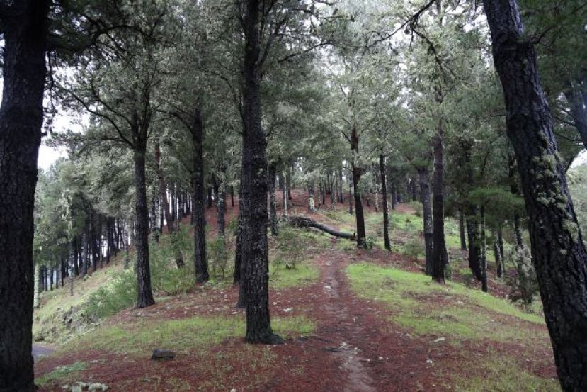 Un sábado de senderismo en el municipio de Valleseco