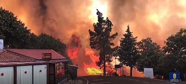 El Cabildo declara extinguido el incendio &lsquo;hambriento&rsquo; que asol&oacute; la cumbre de Gran Canaria