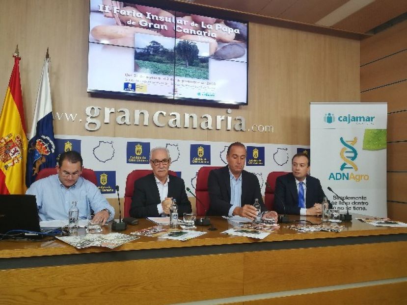 La segunda edici&oacute;n de la Feria de la Papa de Gran Canaria reunir&aacute; hasta 31 variedades de este tesoro gastron&oacute;mico