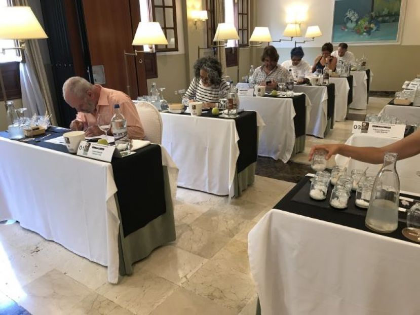 Concurso Oficial de Sal Marina Agrocanarias 2020 de la Consejería de Agricultura