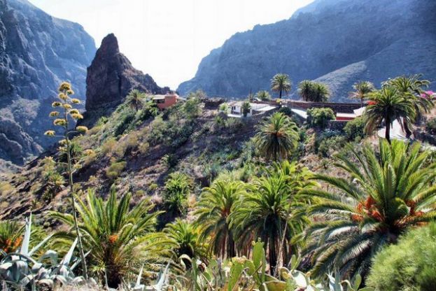Valleseco se va de Senderismo a Tenerife