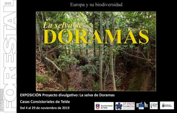 Noviembre Forestal 2019 visita Telde con la Exposici&oacute;n &ldquo;LA SELVA DE DORAMAS&rdquo;