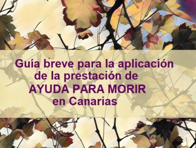 Sanidad informa en su web sobre el derecho a la eutanasia y el procedimiento a seguir