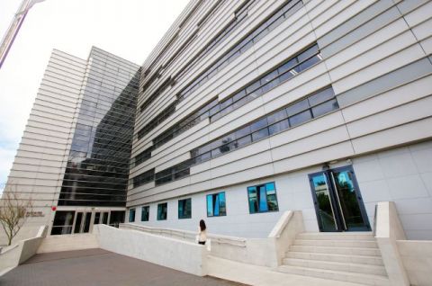 El SCS comenzar&aacute; el 31 de mayo el proceso de petici&oacute;n de plazas de las categor&iacute;as de matr&oacute;n/a y fisioterapia