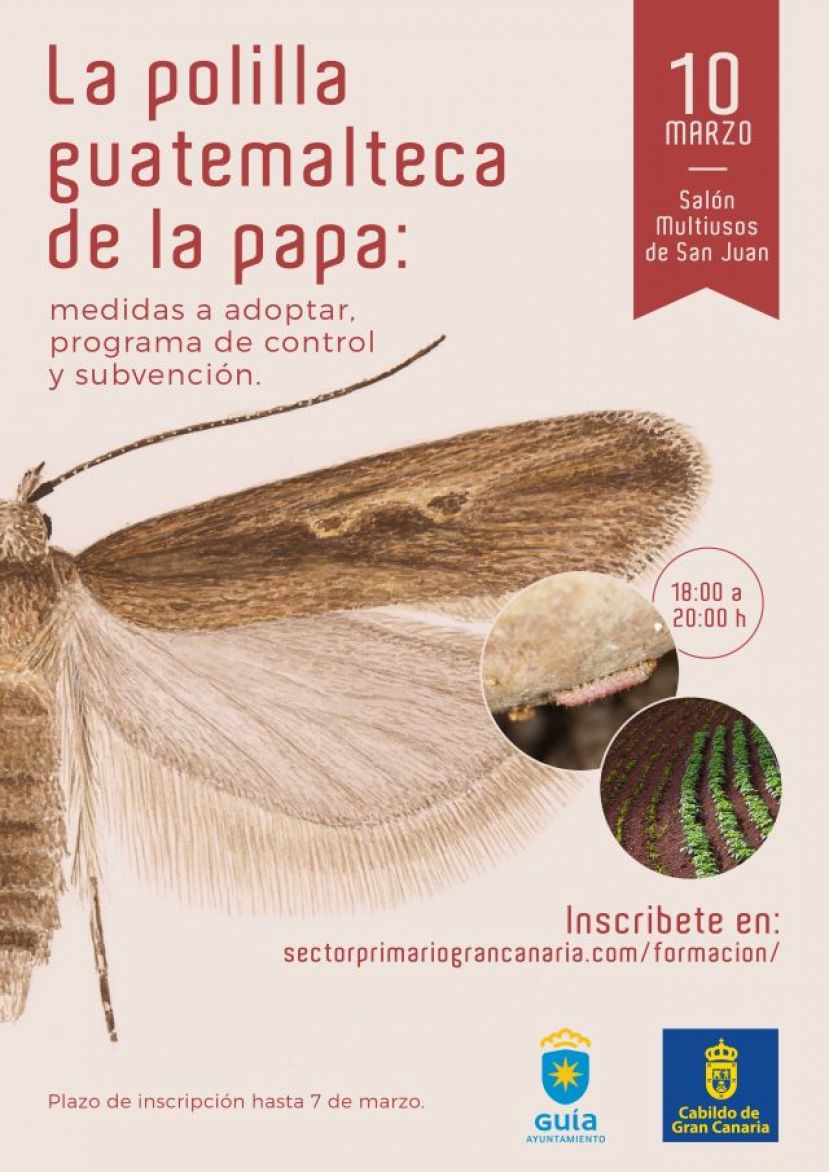 Gu&iacute;a acoge una charla sobre la polilla guatemalteca de la papa el 10 de marzo