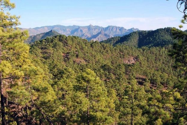 Valleseco se va de Senderismo por la zona cumbrera de Artenara