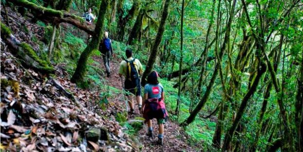 La Gomera: Formaci&oacute;n de 55 estudiantes del Grado Superior en Gesti&oacute;n Forestal