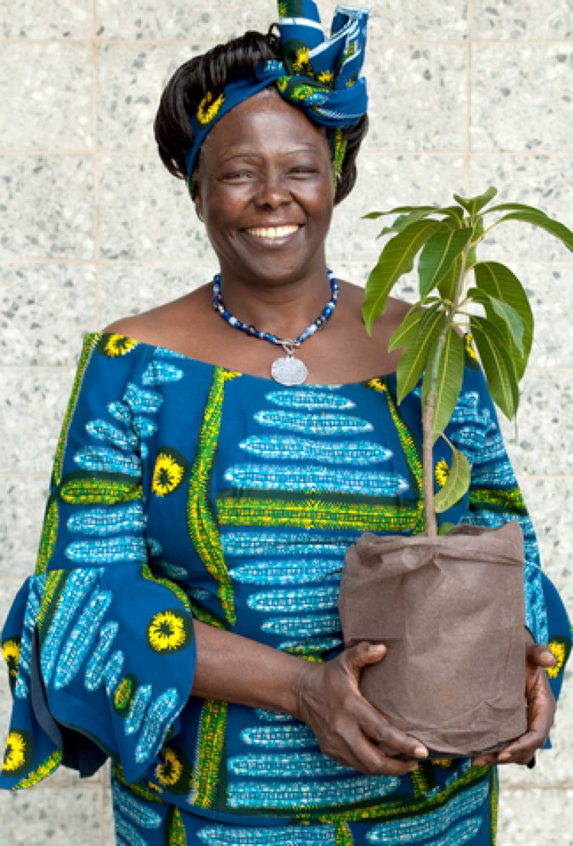 El CAAM rinde homenaje a la keniata Wangari Maathai, Premio Nobel de la Paz