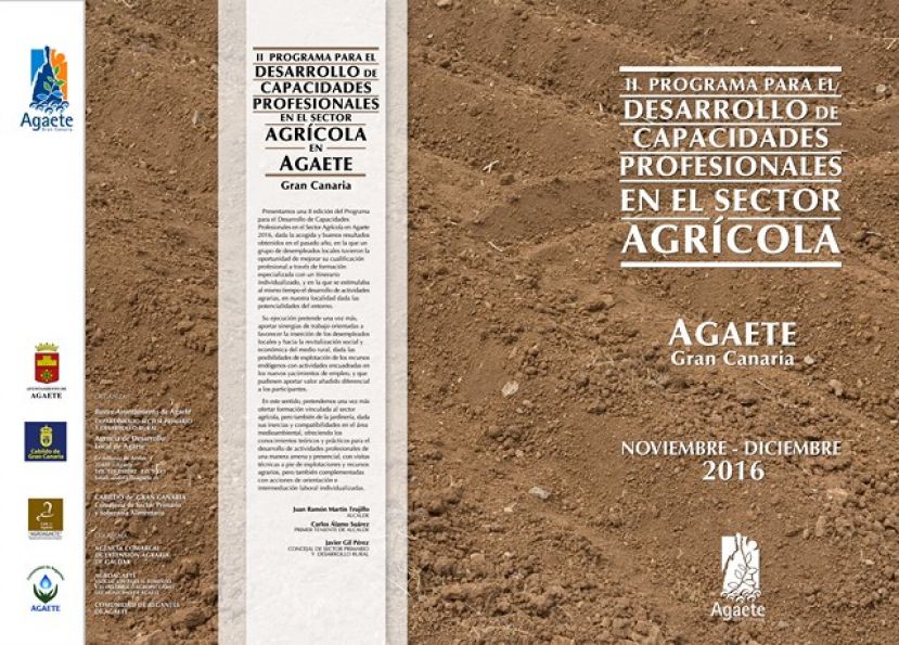 Agaete: II Edici&oacute;n del Programa para el Desarrollo de Capacidades Profesionales