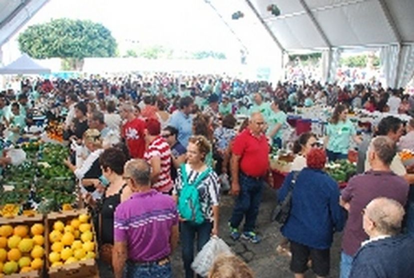 La Feria del Aguacate de Mog&aacute;n dobla la producci&oacute;n en su 2&ordf; edici&oacute;n
