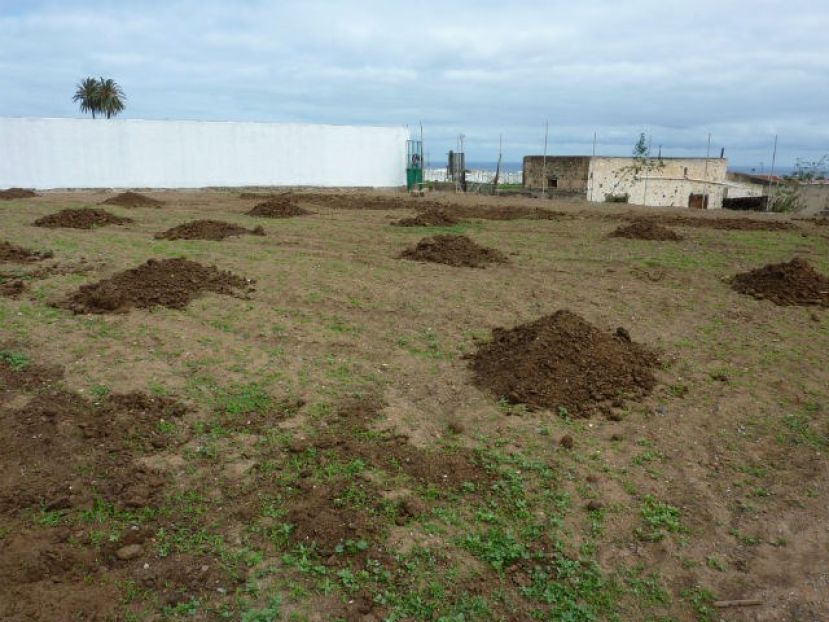 El Cabildo destina 100.000 euros para tierras en desuso para la actividad agrícola