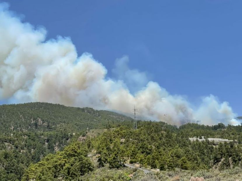 El Gobierno de Canarias asume la dirección del incendio forestal en Tenerife (nivel 2)