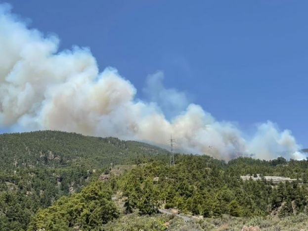 El Gobierno de Canarias asume la direcci&oacute;n del incendio forestal en Tenerife (nivel 2)