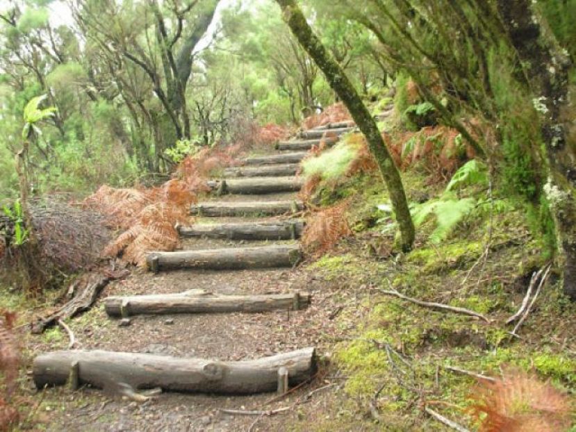 La Gomera: Reapertura la red de senderos con las limitaciones de la orden ministerial