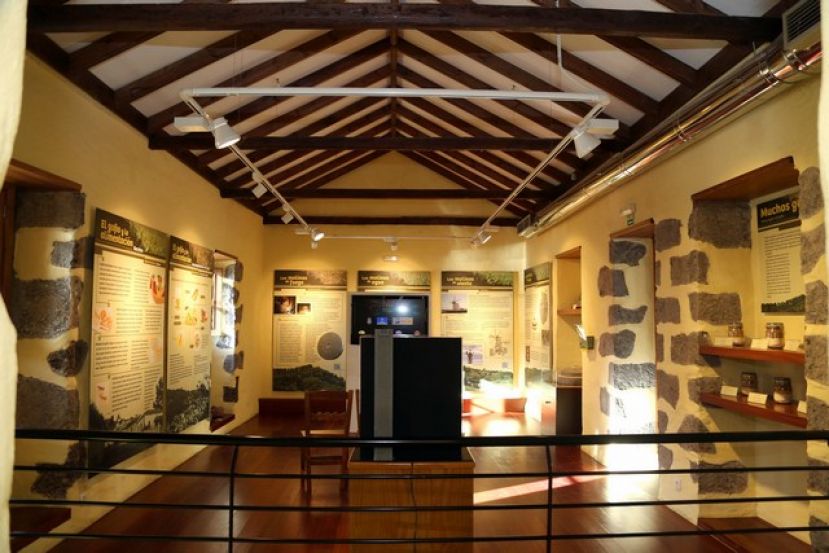 Valleseco: La Oficina de Turismo se consolida en las median&iacute;as de GC