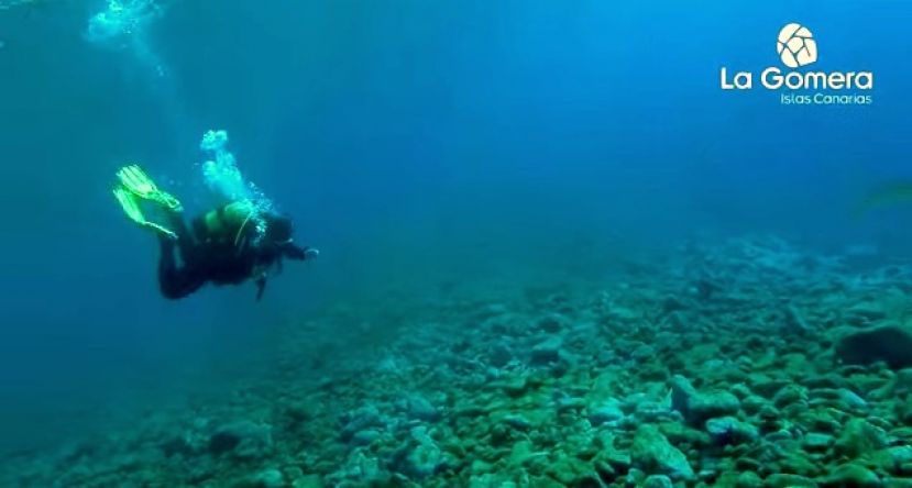 Una asociación de personalidades alemanas visita La Gomera