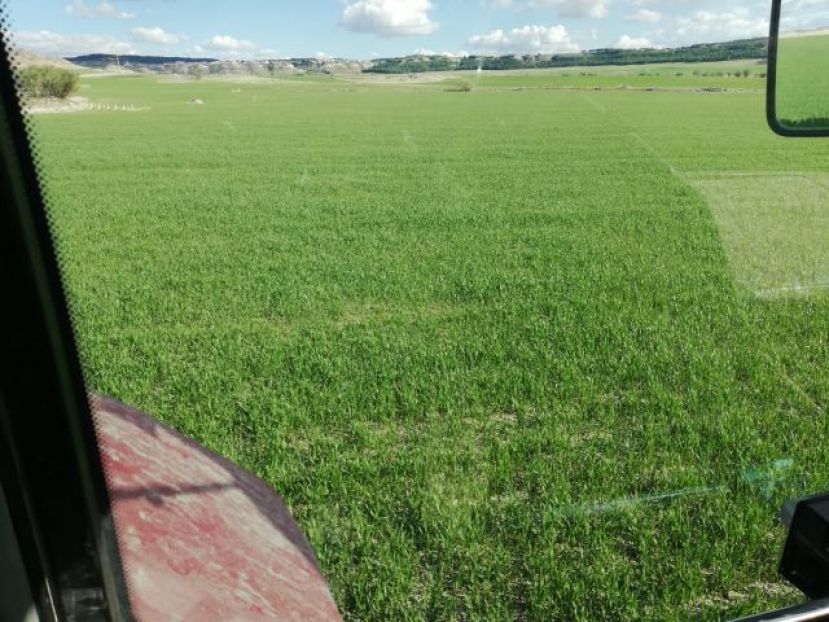 En el D&iacute;a Mundial de La Agricultura y la Huelga General de los d&iacute;as 18 y 19