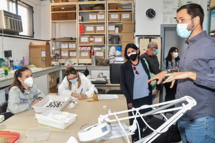 La ULPGC contará con un Centro de Arqueología en el Campus de Humanidades