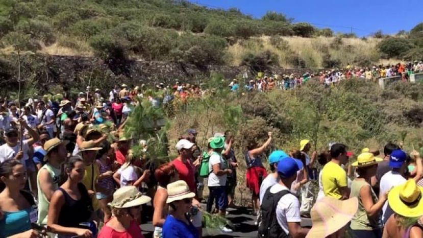 Gáldar: Aprobada la solicitud para el expediente de BIC de la Rama de Juncalillo