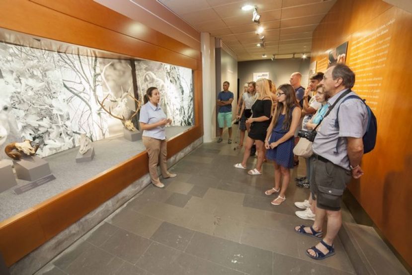 GENERAR SINERGIAS ENTRE EL PATRIMONIO CULTURAL Y EL TURISMO, CLAVE DEL PROYECTO PRESENTADO POR CULTURA DEL CABILDO DE GRAN CANARIA AL PROYECTO INTERREG MAC 2014-2020