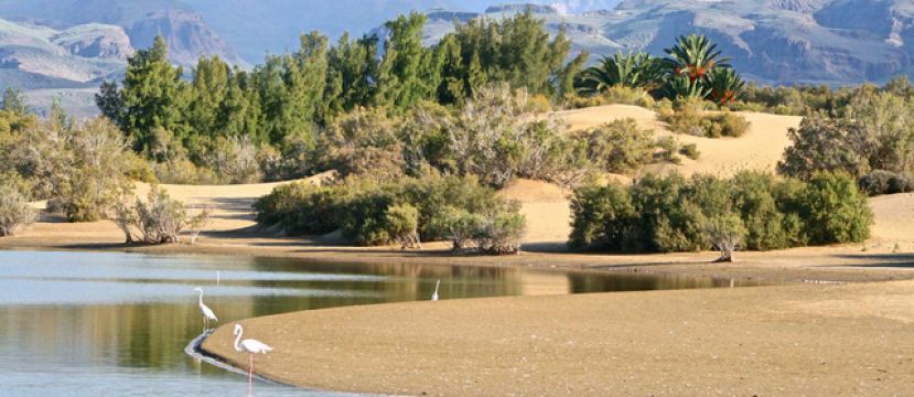 M&aacute;s 1.200.000 personas visualizaron en internet el v&iacute;deo de paisajes de las islas