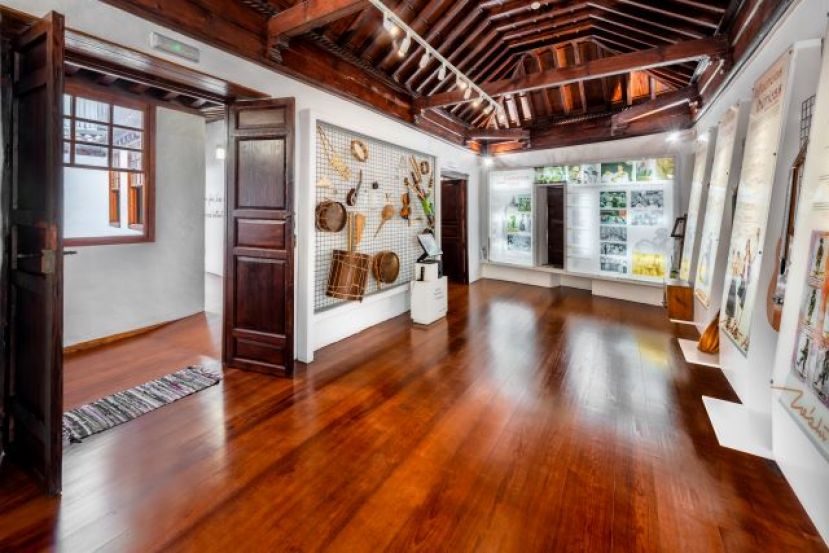 El Museo N&eacute;stor &Aacute;lamo centra la celebraci&oacute;n del D&iacute;a Internacional de los Museos en Gu&iacute;a