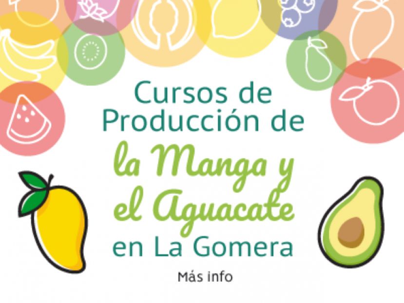 La Gomera: El Cabildo apuesta por un curso sobre producción de la manga y aguacate